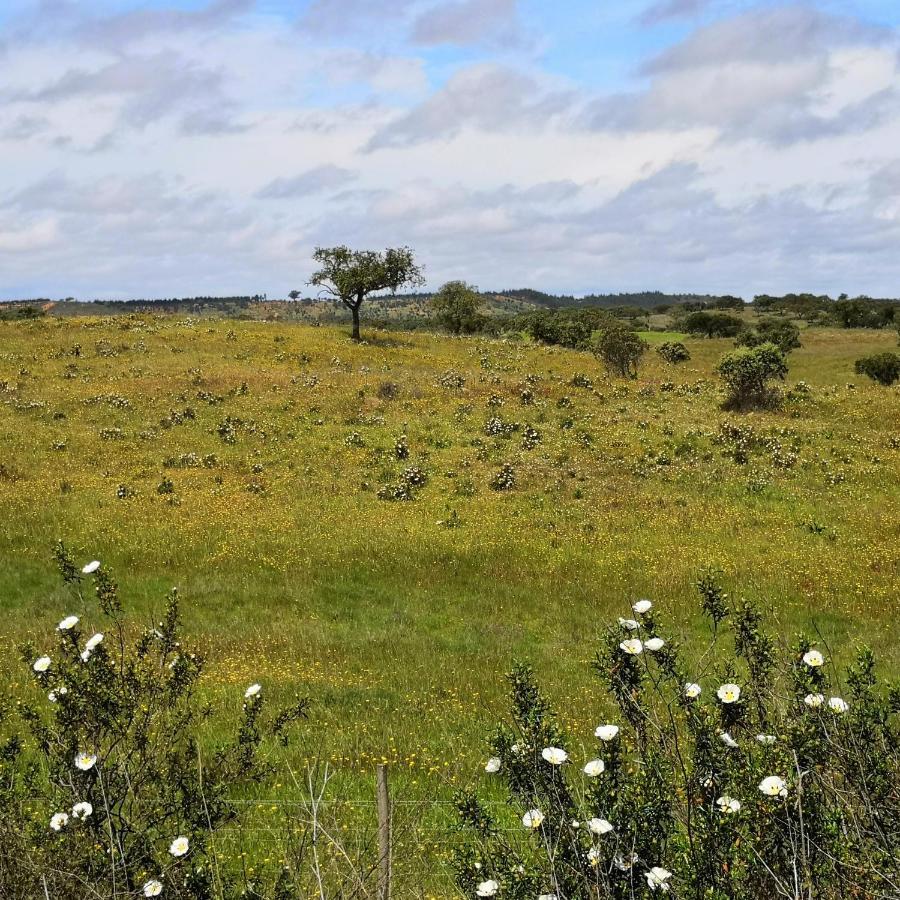 Refugio Do Bem Estar Hotell Cercal do Alentejo Eksteriør bilde