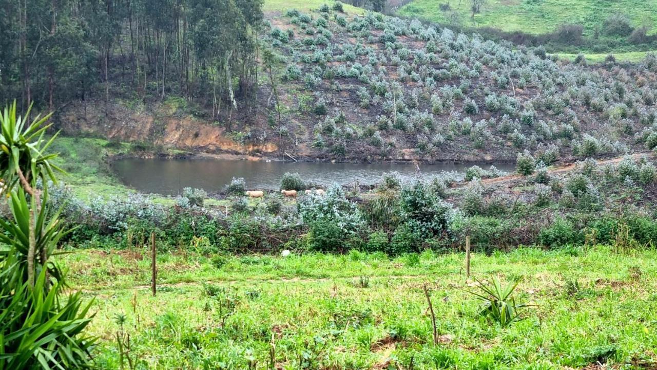 Refugio Do Bem Estar Hotell Cercal do Alentejo Eksteriør bilde